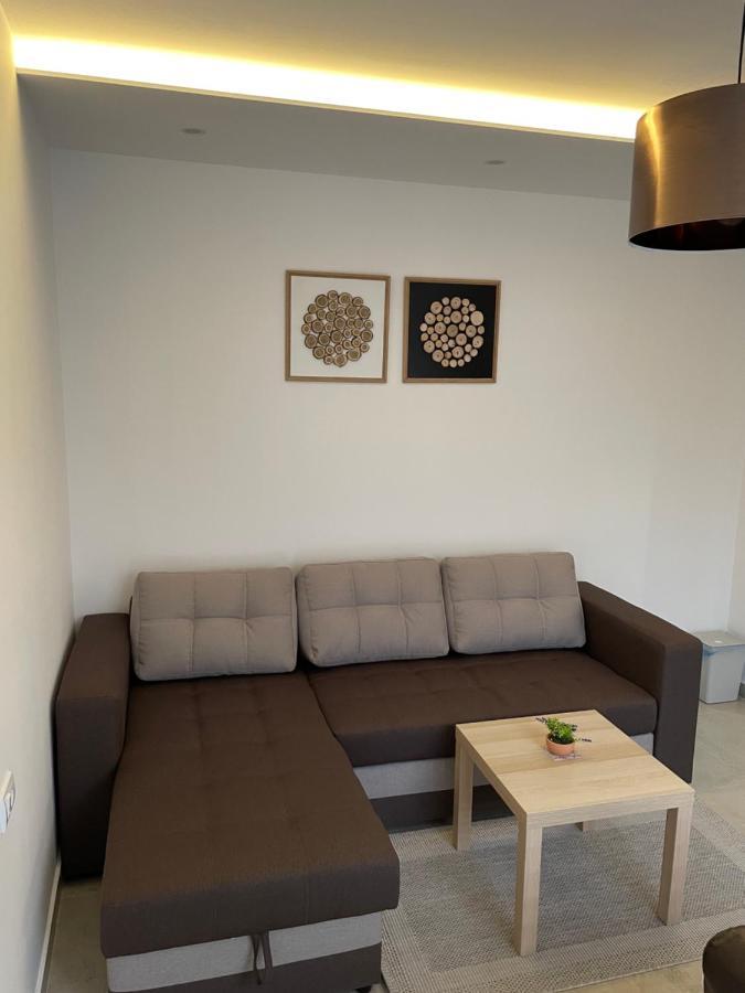 Villa I Spa Stevic Veliko Gradište Екстериор снимка