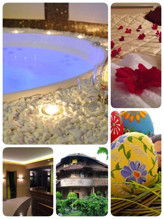 Villa I Spa Stevic Veliko Gradište Екстериор снимка